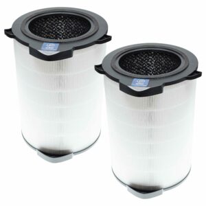 2x Filtro de Substituição para Purificador AEG AFDCLN6 - HEPA (H13) + Carvão Ativado vhbw