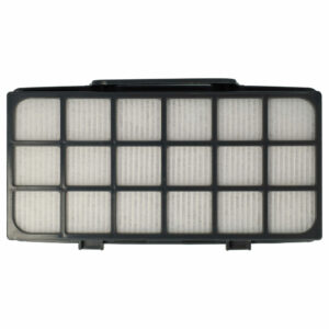 Filtro EPA vhbw para Rowenta RS-RT4310, ZR920101