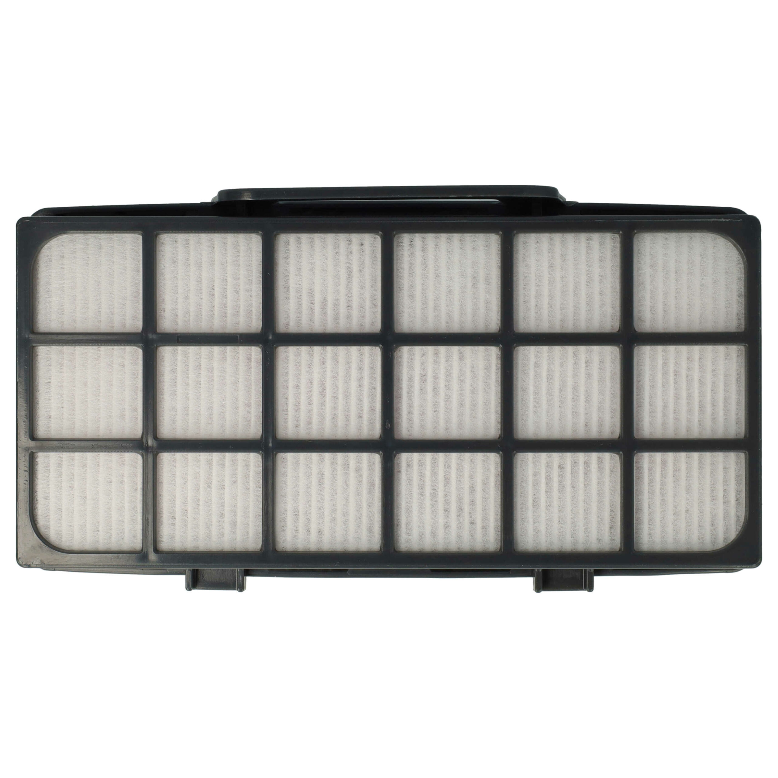Filtro EPA vhbw para Rowenta RS-RT4310, ZR920101