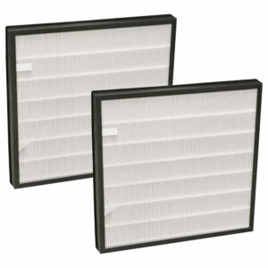 2 Filtros de Substituição para Bielmeier 028001, 028.001 - HEPA (H11) + Carvão Ativado