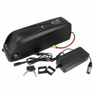 Bateria E-Bike vhbw Compatível Hailong Downtube 48V 19.2Ah com Carregador