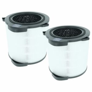 2x Filtros de Substituição para Purificador AEG AFDCAR4 - HEPA (H13) + Carvão Ativado vhbw