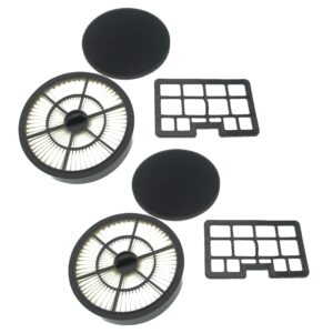 Conjunto de 2 Filtros para Aspirador Hanseatic 15705486, 422064 - vhbw