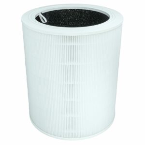 Filtro HEPA vhbw compatível com Levoit Core 600S RF