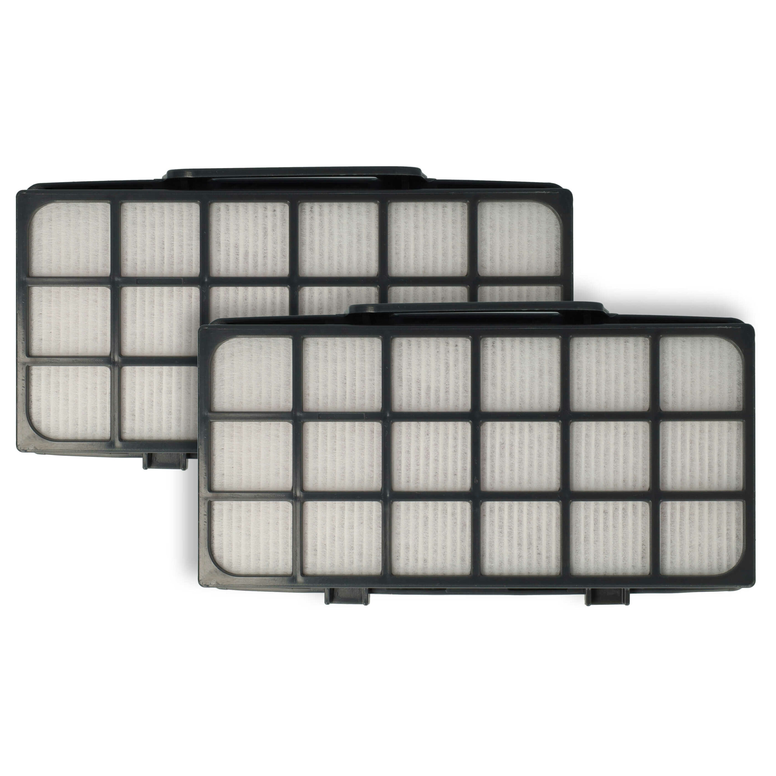 2x Filtros Exhaust EPA para Rowenta RS-RT4310, ZR920101 - vhbw