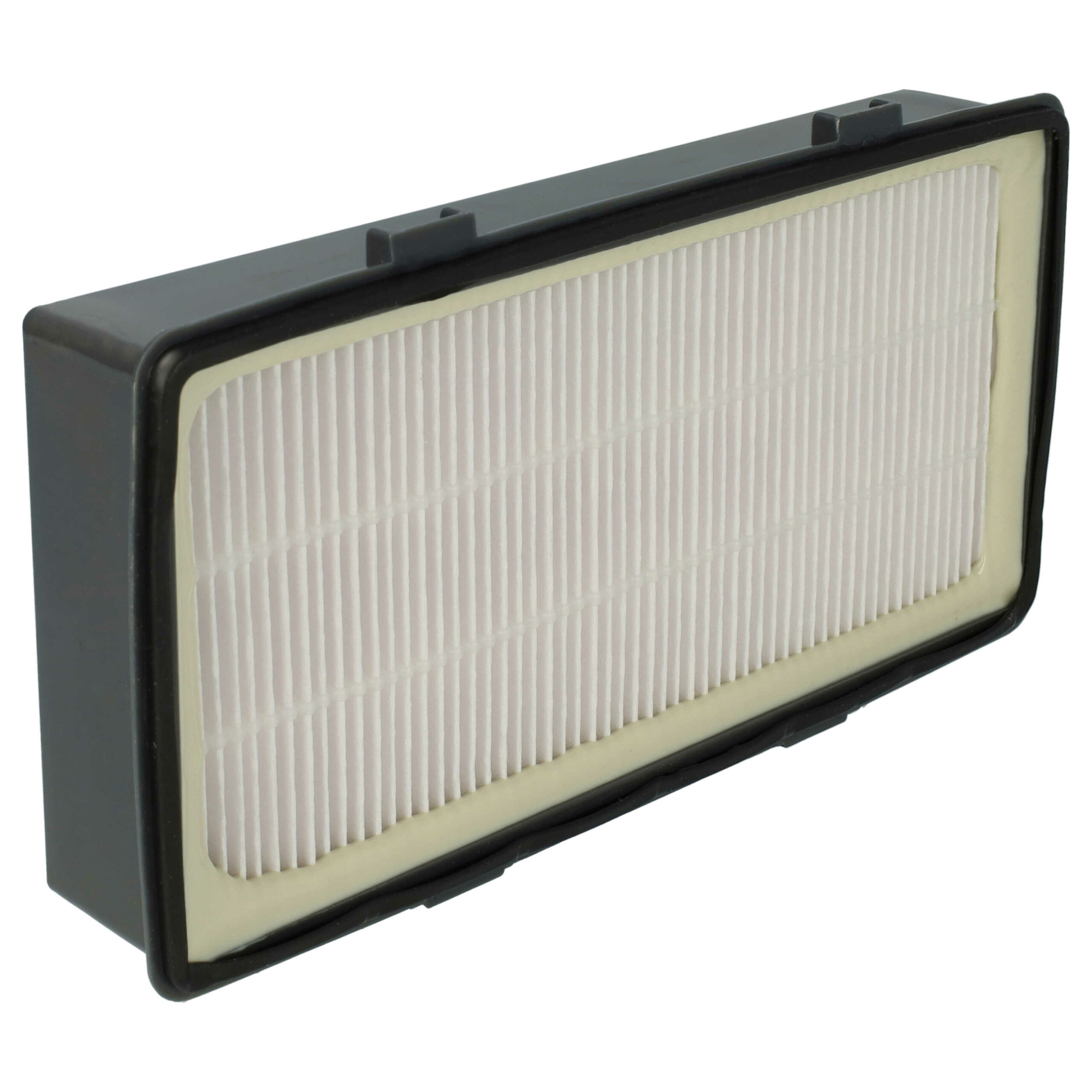 2x Filtros Exhaust EPA para Rowenta RS-RT4310, ZR920101 - vhbw - Image 4