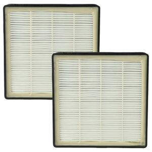 2x Filtro de Substituição vhbw para Rowenta RS-RT3186, 2210016094