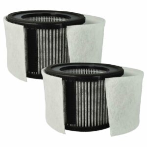 2x Filtro para Purificador de Ar Leifheit / Soehnle 68129, 68106 - vhbw