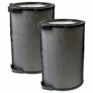 2x Filtro HEPA vhbw compatível com AEG AX9 CARE360, AFDCAR6, 9009233041, AFDBTH6 para Electrolux