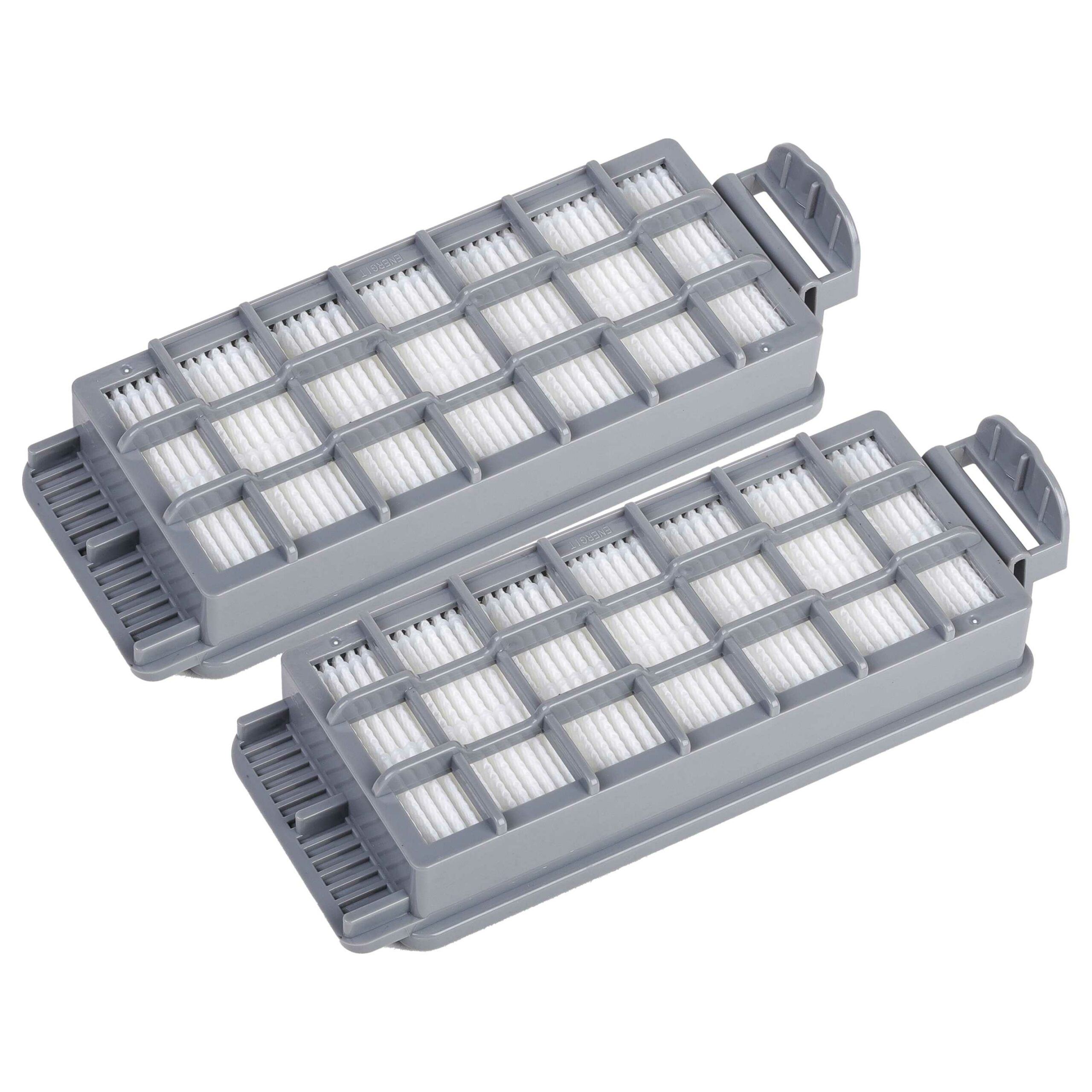 2x Filtro HEPA vhbw para aspirador Kärcher BVL 3/1, BVL 5/1, CV 30/2 (substitui 2.889-342.0)